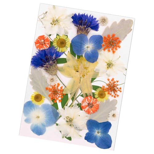 SOUTHJIELING Natürliche gepresste getrocknete Blumen für Epoxidharz, Trockenblumen, Blätter-Set für Seife, Kerzen, Schmuck, Scrapbooking, 25 Stück von SOUTHJIELING