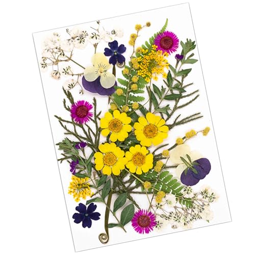 SOUTHJIELING Natürliche gepresste getrocknete Blumen für Epoxidharz, Trockenblumen, Blätter-Set für Seife, Kerzen, Schmuck, Scrapbooking, 25 Stück von SOUTHJIELING