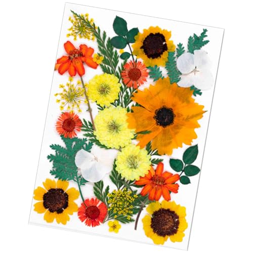 SOUTHJIELING Natürliche gepresste getrocknete Blumen für Epoxidharz, Trockenblumen, Blätter-Set für Seife, Kerzen, Schmuck, Scrapbooking, 25 Stück von SOUTHJIELING