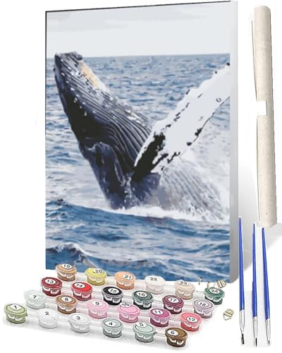 DIY Malen nach Zahlen Abstrakt Buntes Malen nach Zahlen für Erwachsene Seewal Wasser Kits auf Leinwand für Home Wall Decor Acryl Kits für Kind 16x20inch von SOWBIL