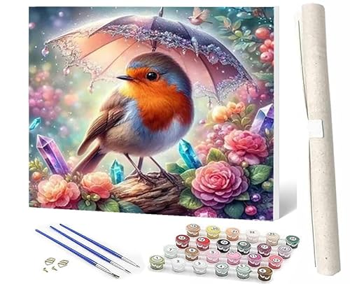 Malen Nach Zahlen Bunter Vogel, der einen Regenschirm gem-4 hält DIY Handgemalt Ölgemälde Leinwand Kits 3 Pinsel und Acrylpigment für Frauen Home Deko Geburtstag Weihnachten Geschenk 40 x 50 cm von SOWBIL