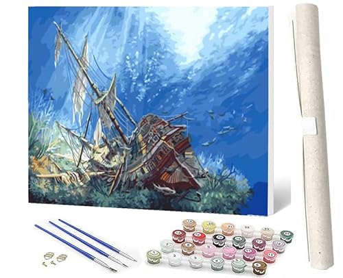 Malen Nach Zahlen Erwachsene Kinder Anfängerab 7 8 9 10 Jahre Mädchen Kit mit Pinsels und Farbe Schiff auf Felsen als Geburtstag Geschenk für Home Deko (40x50cm) von SOWBIL