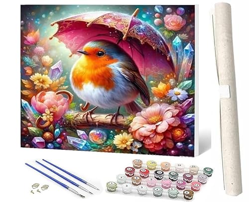 SOWBIL DIY Malen nach Zahlen Abstrakt Buntes Malen nach Zahlen für Erwachsene Bunter Vogel, der einen Regenschirm gem-2 hält Wasser Kits auf Leinwand für Home Wall Decor Acryl Kits für Kind 16x20inch von SOWBIL