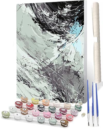 SOWBIL DIY Malen nach Zahlen Abstrakt Buntes Malen nach Zahlen für Erwachsene Sternstigmata Wasser Kits auf Leinwand für Home Wall Decor Acryl Kits für Kind 16x20inch von SOWBIL