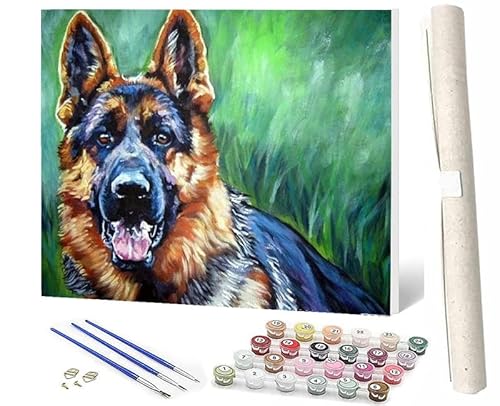 SOWBIL Malen Nach Zahlen Erwachsene Tiere Deutscher Schäferhund 024 AnfäNger Knitterfreie Leinwand Pinsels Und Acrylfarbe Diy Handgemalt öLgemäLde Kit Als Geschenk 40 X 50cm von SOWBIL