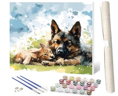 SOWBIL Malen Nach Zahlen ErwachseneKinderPainting By Numbers Easy 40 * 50 cm Tier Hund Katze 072 DIY Handgemalt Ölgemälde Kit für Anfänger und ErwachseneHome Haus DekoOhne Rahmen von SOWBIL