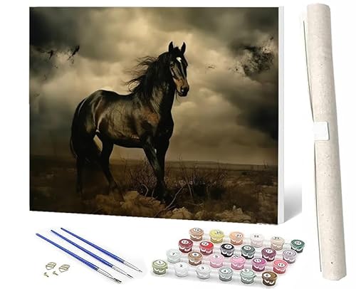 SOWBIL Malen Nach Zahlen Tierisches schwarzes Pferd 111 Malen Nach Zahlen Erwachsene AnfängerPaint by Numbers DIY Ölgemälde Leinwand Kit für Home Wand Dekor Ohne Rahmen 40X50CM von SOWBIL