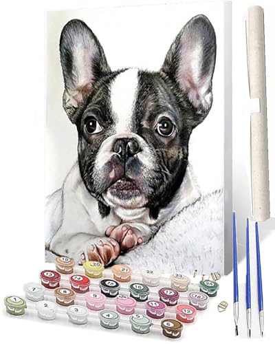 SOWBIL Malen Nach Zahlen ab 5 6 7 8 9 Jahre Mädchen und Jungen DIY Malen Nach Zahlen Mops Tiere für Kinder und Anfänger mit Pinsel und Acrylfarben 40x50cm von SOWBIL