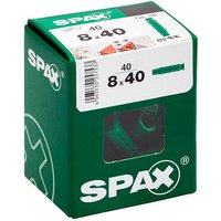 SPAX® TYP-SD Betondübel 40 St. von SPAX®