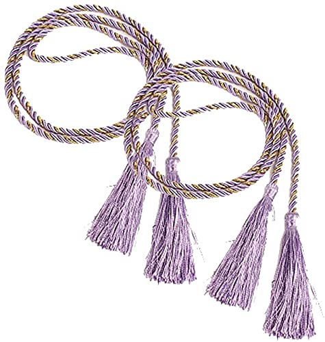 SSDD 1 Paar Vorhang Krawattenrücken Vorhangriemen Krawatten Duschvorhang Quaste Riemen Halter Holdbacks Vorhangschnüre for Wohnzimmer Badezimmer (Color : Purple) von SSDD