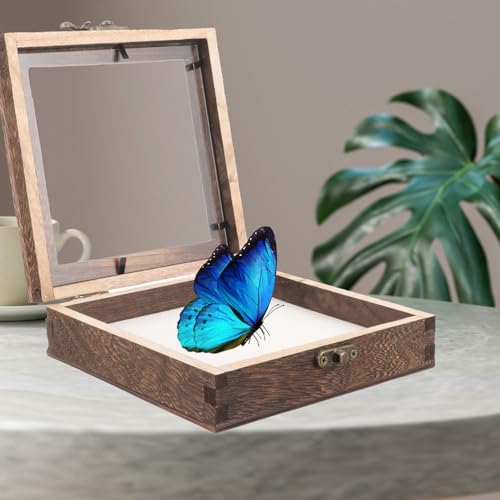 Schmetterlings Proben Ausstellungsbox : 10x10cm Klein Bilderrahmen zum Befüllen,Holz Blumen Schattenbox,Vitrine Box Sammelbox Mit Durchsichtiger Oberseite Schmuckvitrine für Medaillen von STOBAZA