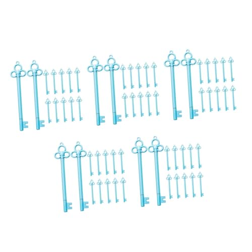 STOBOK 5 Sätze 5 Sets Schlüssel Gelstift Gel Tintenstifte Kugelschreiber Schreibwarenbedarf Füllfederhalter Kugelschreiber Für Die Schule Flüssiger Tintenstift 12 Stück * 5 von STOBOK