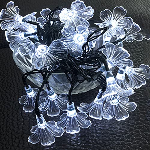 Solar Lichterkette Außen,SUAVER wasserdicht 4,8m 20 LEDs Morning Glory Blumenlicht Solar dekoration Lichterkette für Gärten Hochzeiten Weihnachtspartys und Urlaubsdekorationen (Weiß) von SUAVER