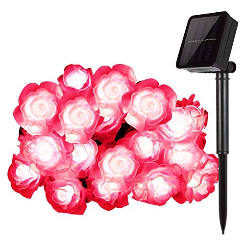 SUAVER Solar Lichterkette, Wasserdicht 50LED Rose Lichter Außen Blumen Garten Licht Außenlichterkette,LED Lichterketten für Garten,Terrasse,Zuhause,Weihnachtsdeko und Partys (Rot) von SUAVER