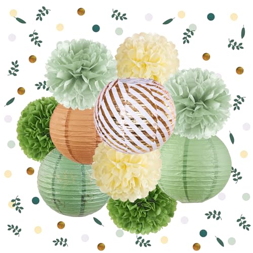 SUNBEAUTY 11 Stück Salbeigrün Pompons Deko mit Grün Pompom Papierlaterne Konfetti für Geburtstag Hochzeit BabyParty Gartenparty Dekoration von SUNBEAUTY