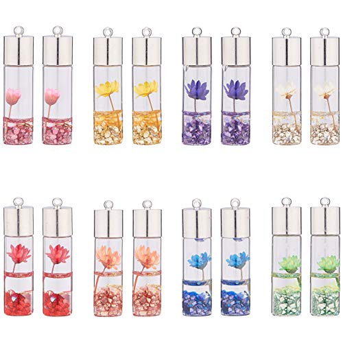 SUNNYCLUE 16 Stück 8 Farben Glasflasche Halskette Echte Trockene Blume Glasflasche Anhänger Wunschflasche Für Halskette Ohrring DIY Anhänger Charms Geschenk von SUNNYCLUE