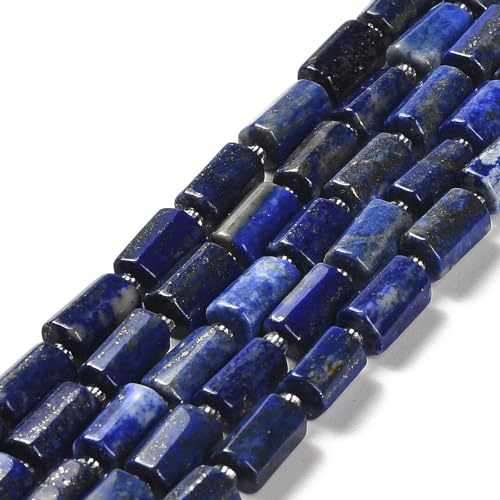 SUPERFINDINGS 2 Stränge Natürliche Lapislazuli Perlen Stränge Natürliche Steinperlen Stränge Indigofarbene Zylinderperlen Steinröhrenlose Perlen Säule (Ca. 14-15 Stück/Strang) von SUPERFINDINGS