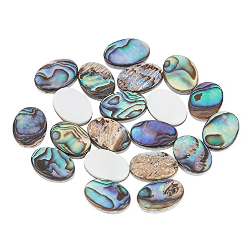 SUPERFINDINGS 20pcs 14x10mm Natürliche Abalone Muschel Ovale Abalone Muschel Eeads Muschel Cabochons Süßwasser Muschel Münze Perlen Für DIY Schmuckherstellung von SUPERFINDINGS