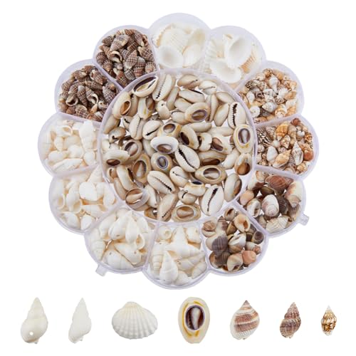 SUPERFINDINGS 413 Stück 7 Stile Mini Muscheln Große Natürliche Muschel Kauri Spiralmuschel Ornament Sets Kein Loch Zum Basteln Muscheln Perlen Für DIY Schmuck Meerjungfrau Kostüm von SUPERFINDINGS