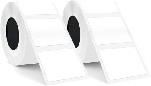 SUPVAN KATASYMBOL T50M Pro Etikettenband Papier, Wasserfeste Etikettenfür Heim, Schule, Büro, 40 mm x 30 mm, 250 Etiketten/Rolle(Weiß) 2 Pack von SUPVAN