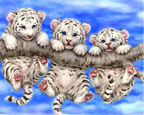 SWECOMZE DIY 5d Diamant Malerei Kits, Diamond Painting Tiger, 30x40 cm, Tiere Vollbohr Kristall Strass Stickerei Malen nach Zahlen Bilder Wand Deko (D) von SWECOMZE