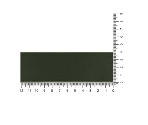 SWS 22355-0040-0893 Satinband, 100 Prozent Polyester, 0893 Grün, 25 m x 40 mm von SWS