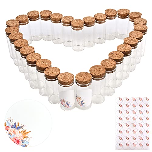 SXUUXB 40 Stück Kleine Weithals Glasflaschen Zum Befüllen, 25ml Reagenzglas mit Korken,30×60mm Kleine Gläser mit Deckel, Mini Glasflaschen Mit Deckel für Hochzeit Party Zubehör Dekorationen Geschenke von SXUUXB