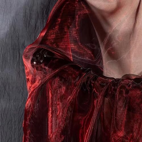 SYSUII 150cm*3m Organzastoff Glitzer Dekostoff zum Nähen Sparkly glitzernder Stoff Kostümstoff zum Nähen für Hochzeit Kleid Dekoration DIY Tisch Tutu Rock Party Deko Geschenk Bogen- Weinrot SYSUII 150cm*3m Organzastoff Glitzer Dekostoff zum Nähen Sparkly glitzernder Stoff Kostümstoff zum Nähen für Hochzeit Kleid Dekoration DIY Tisch Tutu Rock Party Deko Geschenk Bogen- Weinrot von SYSUII