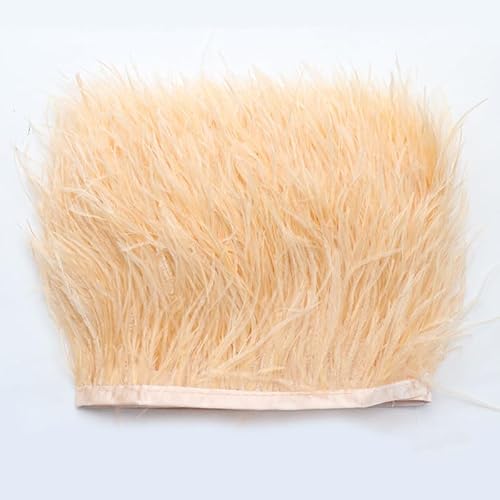 Straußenfedern Federn Fringe Trim, 1m 8-10cm Natürlichen Feder Fransen Quaste Fransenborte Fransenband für DIY Kleid Nähen Handwerk Kostüme Dekoration Halloween Federband Bastelzubehör -beige#2 von SYSUII