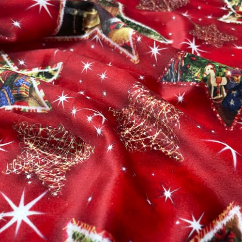 Samtstoff, Meterware, einfarbig, Weihnachtsmotiv, Wandteppich, Kissen, Tischdecken, Höhe 300 cm (Meterware, 100 x 300 cm, Xmas Stars) von SaRani