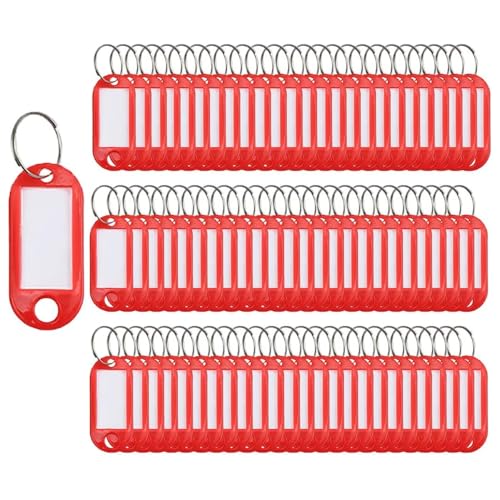 100 Stück Schlüsselanhänger Tags Schlüsseletiketten Kunststoff Schlüsselanhänger ID Tags Schlüsselringe Gepäck ID Name Schlüsselringe mit Split Schlüsselanhänger Schlüsseletiketten Keychain Ringe von SagaSave