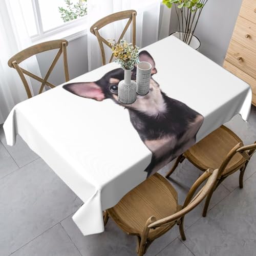 SamLng Rechteckige Tischdecke mit niedlichem Chihuahua-Druck, waschbar und perfekt für drinnen und draußen, klassische Küchendekoration von SamLng