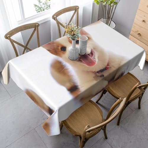 SamLng Rechteckige Tischdecke mit niedlichem Corgi-Druck, waschbar und perfekt für drinnen und draußen, klassische Küchendekoration von SamLng