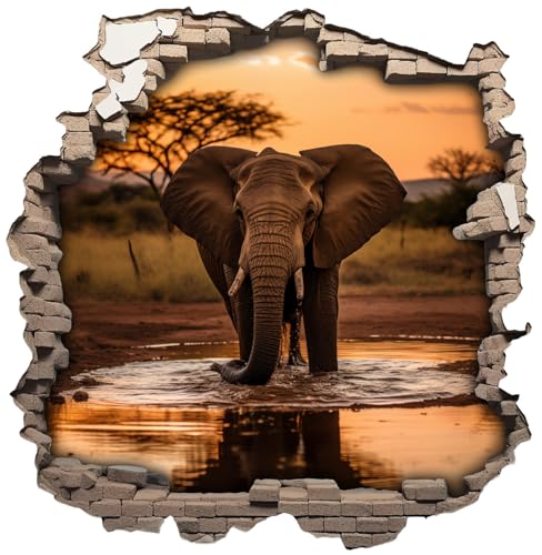 Samunshi® Wandaufkleber Wandriss mit Elefant Wandsticker Fenster in andere Welt für Kinderzimmer Wohnzimmer Küche Wanddekoration Wallart 50x50cm von Samunshi