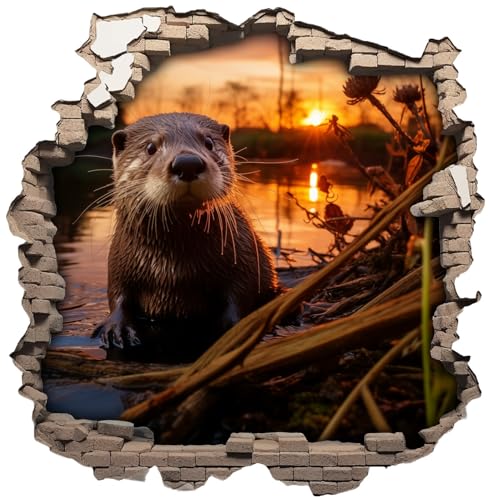 Samunshi® Wandaufkleber Wandriss mit Otter Wandsticker Fenster in andere Welt Portal für Kinderzimmer Wohnzimmer Wanddekoration Wallart 50x50cm von Samunshi