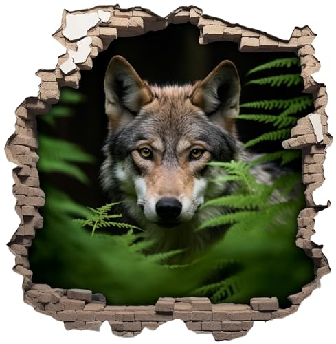 Samunshi® Wandaufkleber Wandriss mit Wolf Wandsticker Fenster in andere Welt für Kinderzimmer Wohnzimmer Küche Wanddekoration Wallart 50x50cm von Samunshi