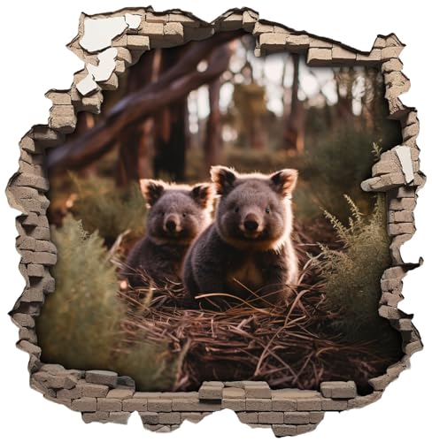 Samunshi® Wandaufkleber Wandriss mit Wombats Wandsticker Fenster in andere Welt Portal für Kinderzimmer Aufkleber Küche Wallart 50x50cm von Samunshi