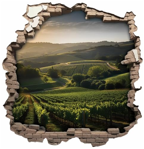 Samunshi® Wandtattoo Wandriss mit Weinberg Weinregion Weingut Fenster in andere Welt Portal Wanddekoration Wandsticker für Kinderzimmer Wohnzimmer Wanddeko 50 x 50cm von Samunshi