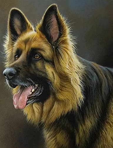 Malen nach Zahlen für Erwachsene, Deutscher Schäferhund, Haustier, Hund, Tier, Erwachsene, Malen-nach-Zahlen-Set mit 30 x 40 cm von SanZez