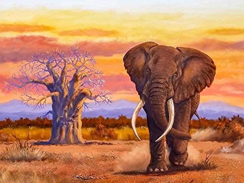 Showker 5D Diamant Painting BilderElefanten bei Sonnenuntergang Tiere, DIY Diamond Painting Bilder Zubehör Runde Diamond Kreuzstich Stickerei Dekoration Schlafzimmer Büro Home Wandbild 30x40cm von Sattie