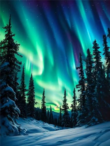 Diamond Painting Aurora Forest Diamant Painting Bilder, Diamond Painting Kinder AnfäNger, Diamond Painting Basteln Mädchen, Wohnzimmer und Schlafzimmer Wanddeko, Weihnachten Geschenke 70x100cm P-8805 von Saweefog