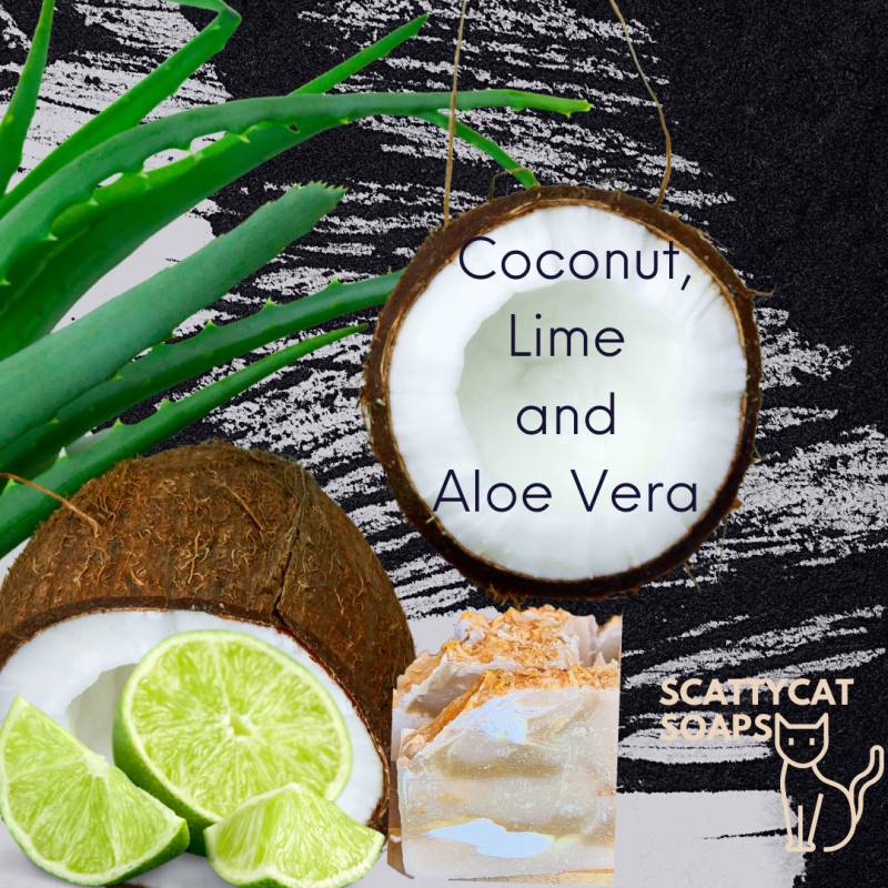 Kokosnuss, Limette Und Aloe Vera Seife von ScattycatSoaps