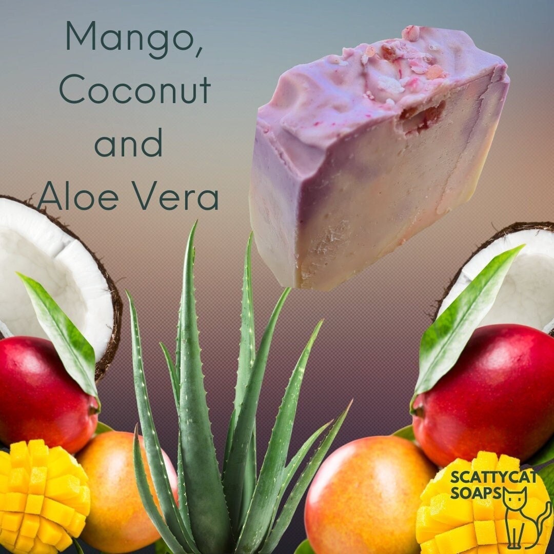 Mango Und Kokosnuss Aloe Vera Seife von ScattycatSoaps