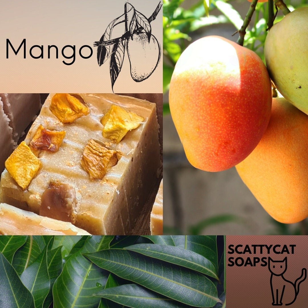 Mango Seife von ScattycatSoaps