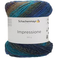 Schachenmayr Impressione - Night Sky Color von Blau