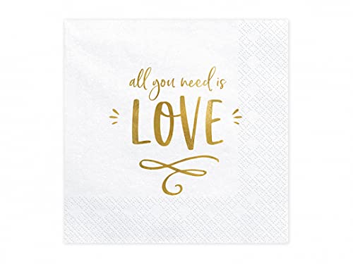 20 x Servietten " all you need is Love " Hochzeit Jübiläum Hochzeitsdeco Geburtstag von Schnooridoo