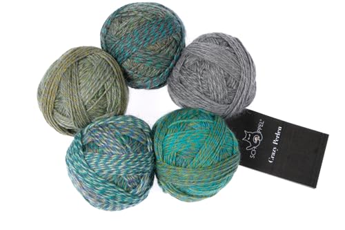 Schoppel Wolle Zauberball Crazy Perlen | 75% Wolle, 25% Polyamid | Farbverlaufswolle 5 Miniknäuel à 20g | 100g Strickgarn oder Häkelwolle zum Stricken oder Häkeln (2591 Pyrophon) von Schoppel