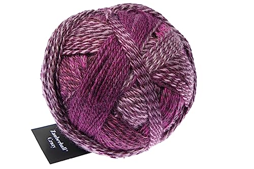 Schoppel Zauberball Crazy | Nachhaltige Sockenwolle mit Farbverlauf | Sockengarn zum Stricken oder Häkeln | bunte Strumpfwolle 100g (2543 Dark Roses) von Schoppel