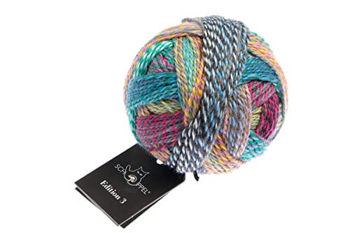 Schoppel Zauberball Edition 3, reine Merinowolle | 100% Wolle | Merino extrafine für Nadelstärke 3-3,5 mm, 50g (2511 All inclusiv) von Schoppel