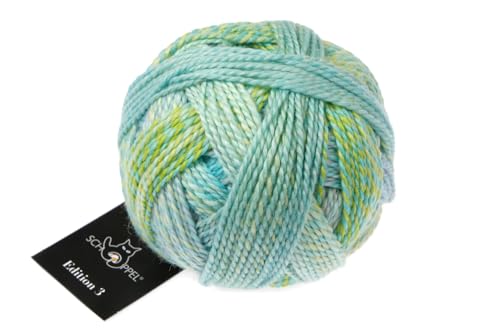 Schoppel Zauberball Edition 3 | Reine Merinowolle türkis mint zum Stricken und Häkeln | 100% Wolle | Merino extrafine für Nadelstärke 3 bis 3,5 mm (2598 Leise Töne) von Schoppel